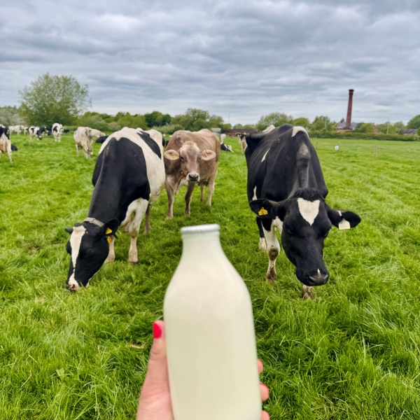 Milk and Cream